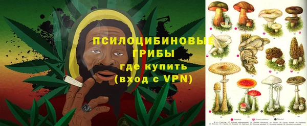 соль ск Алексеевка